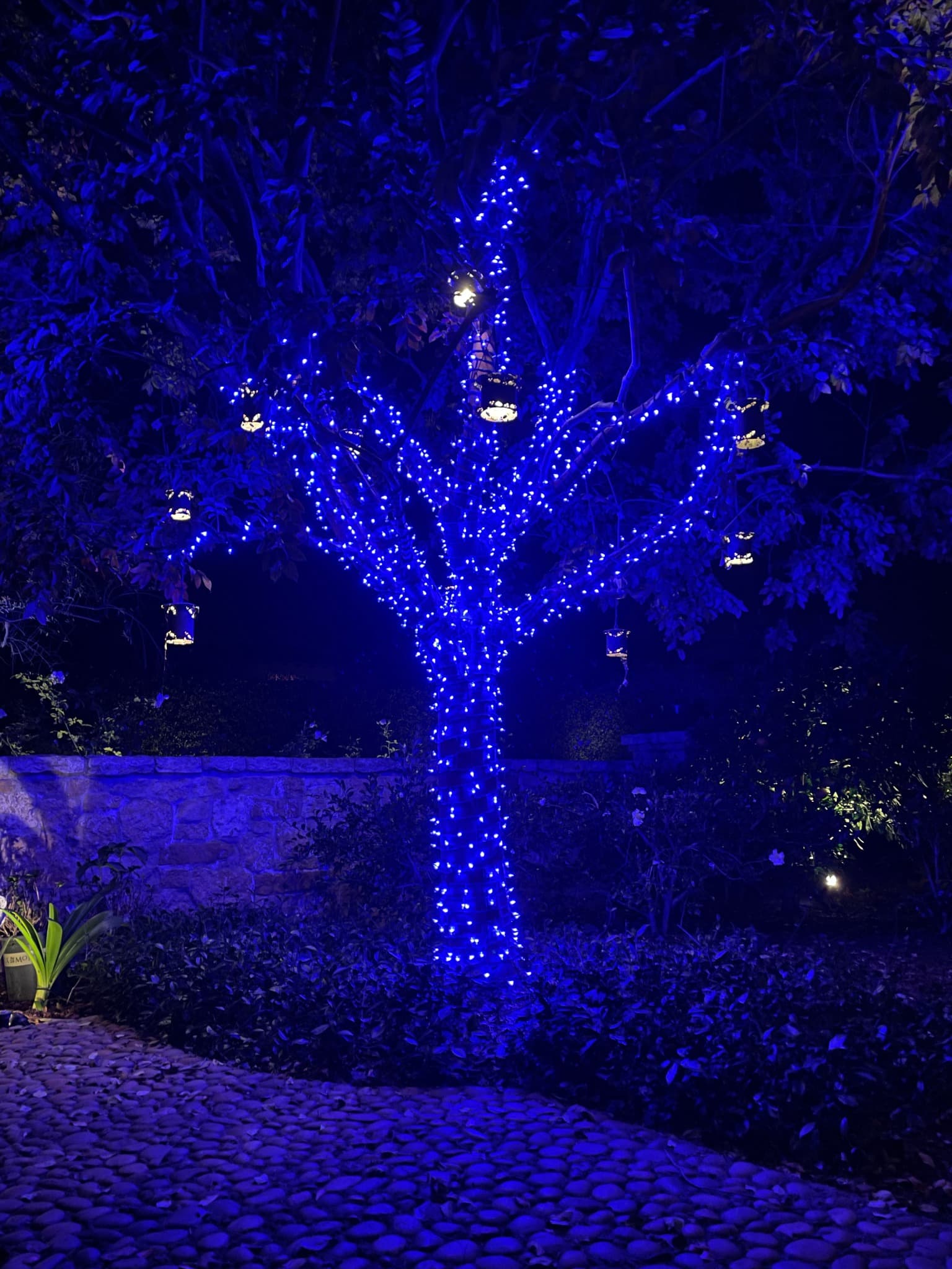 Blue Tree