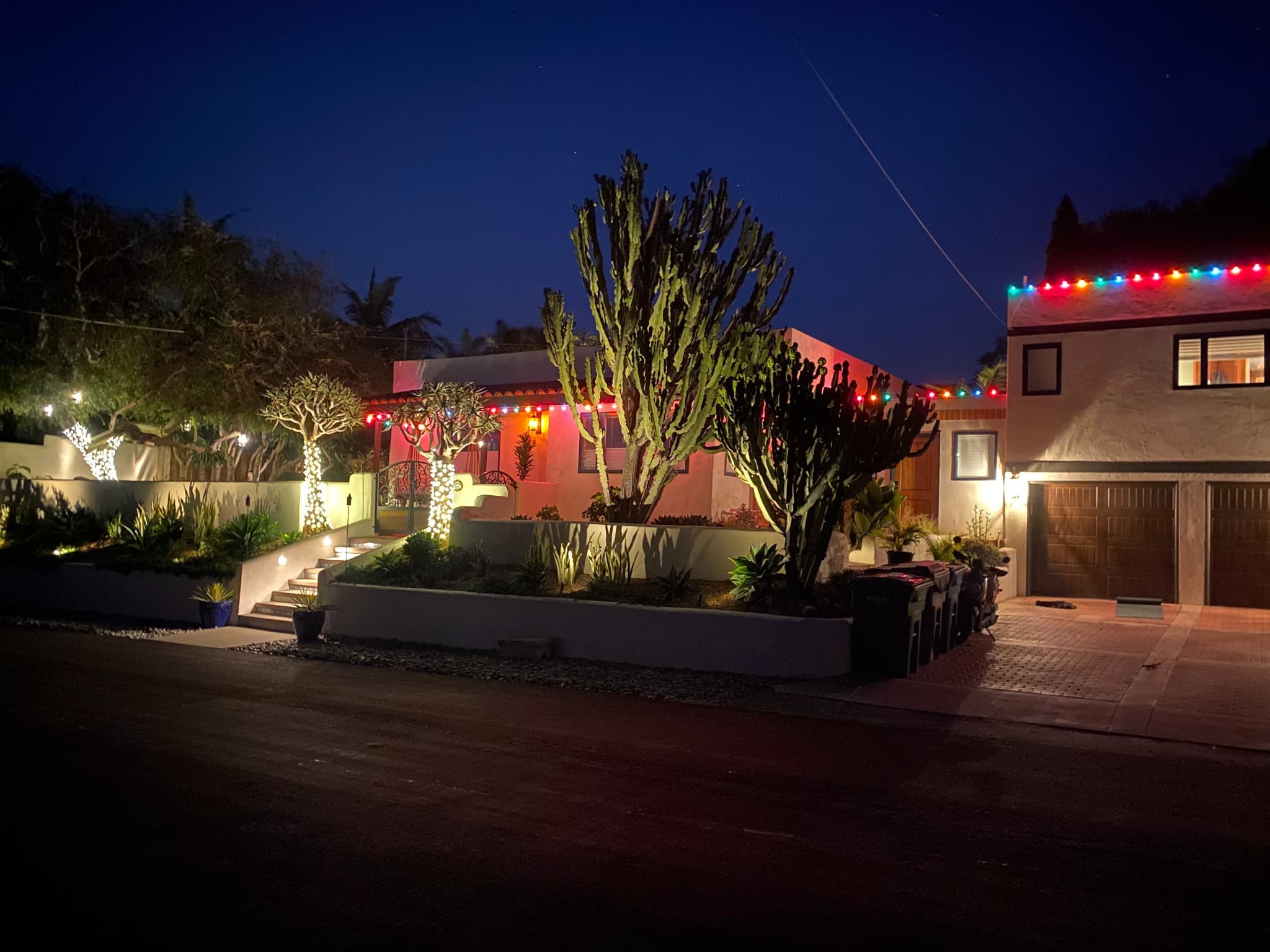 Cactus House