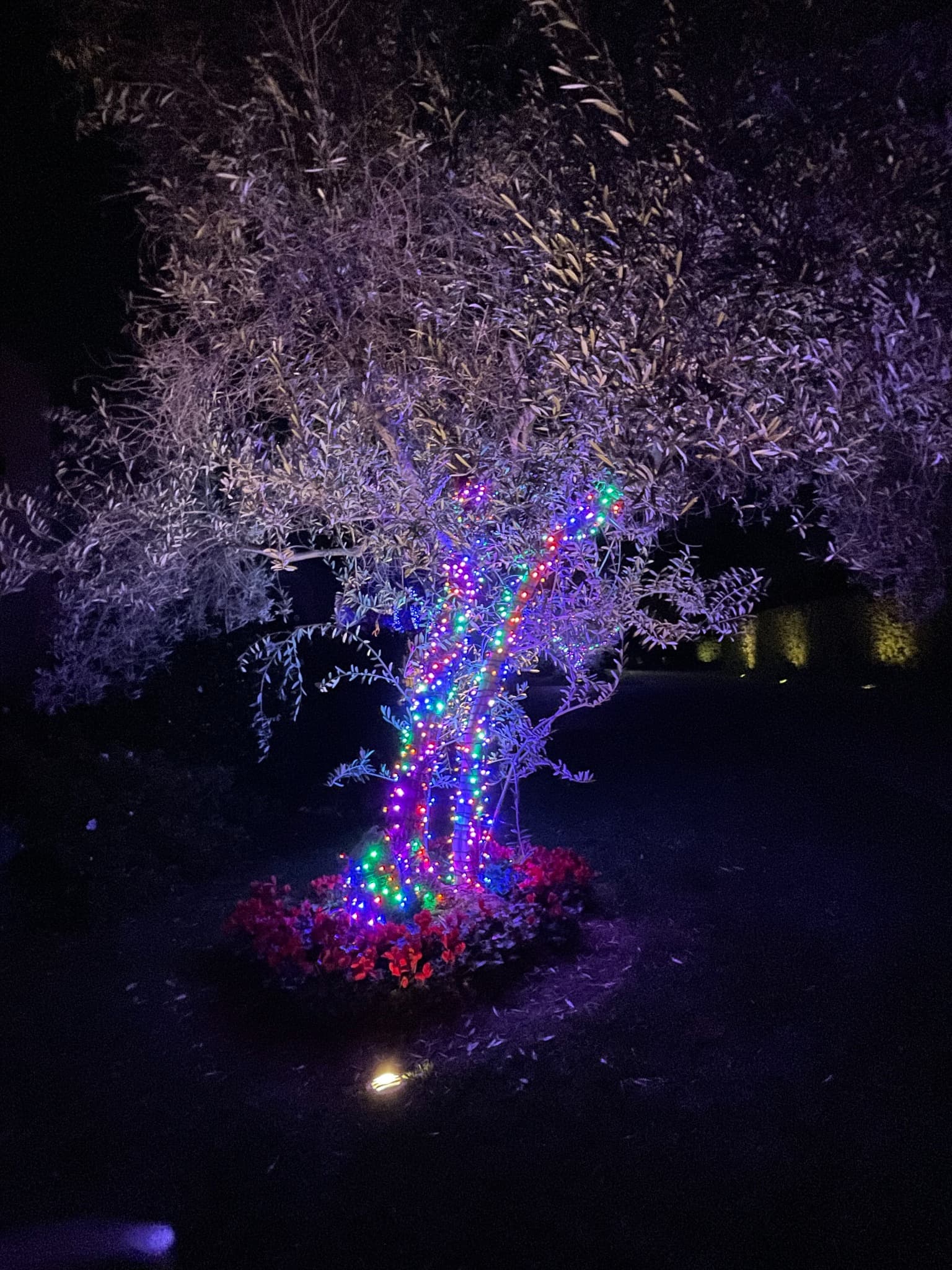 Multi Tree