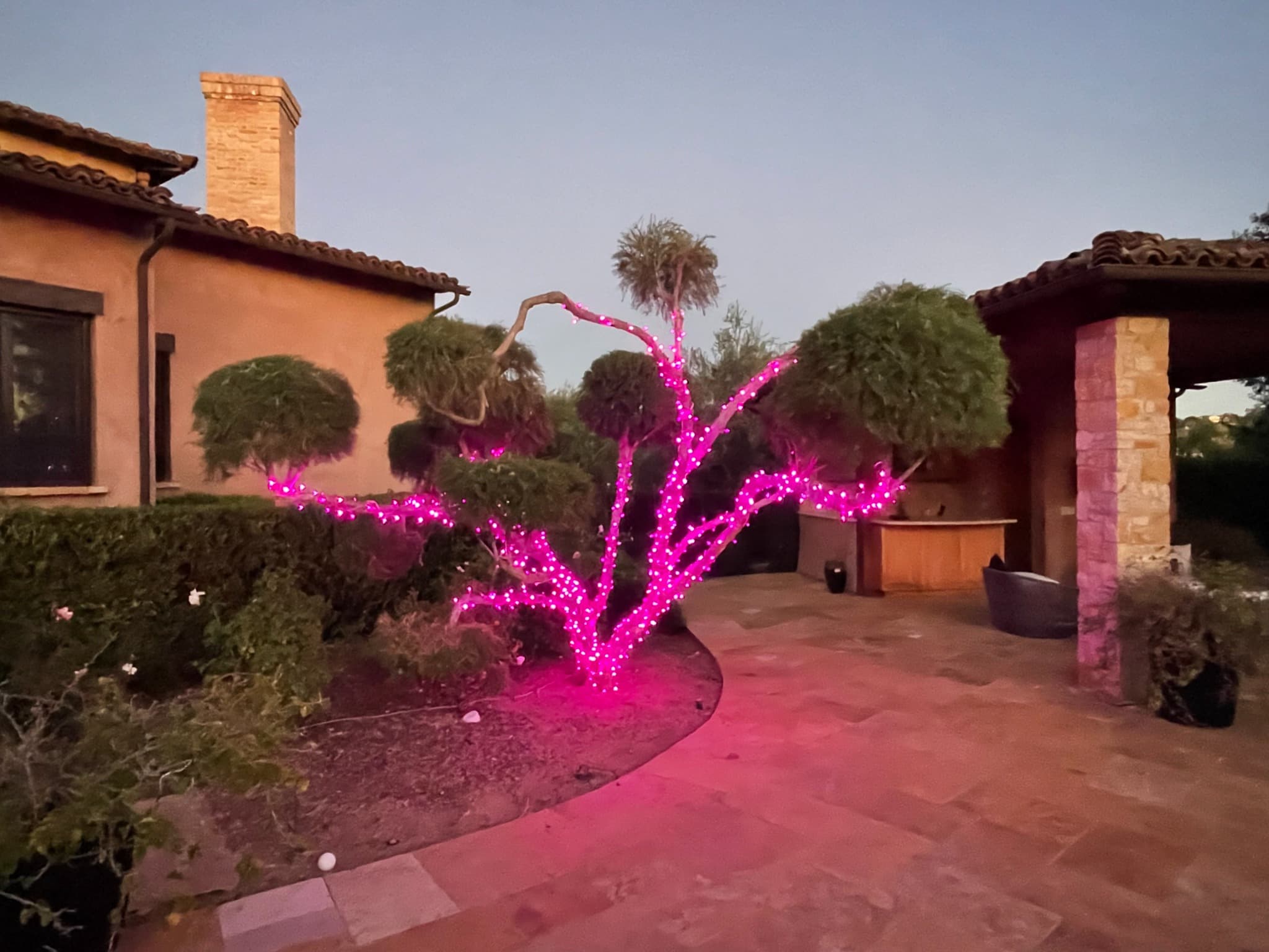 Pink Courtyard