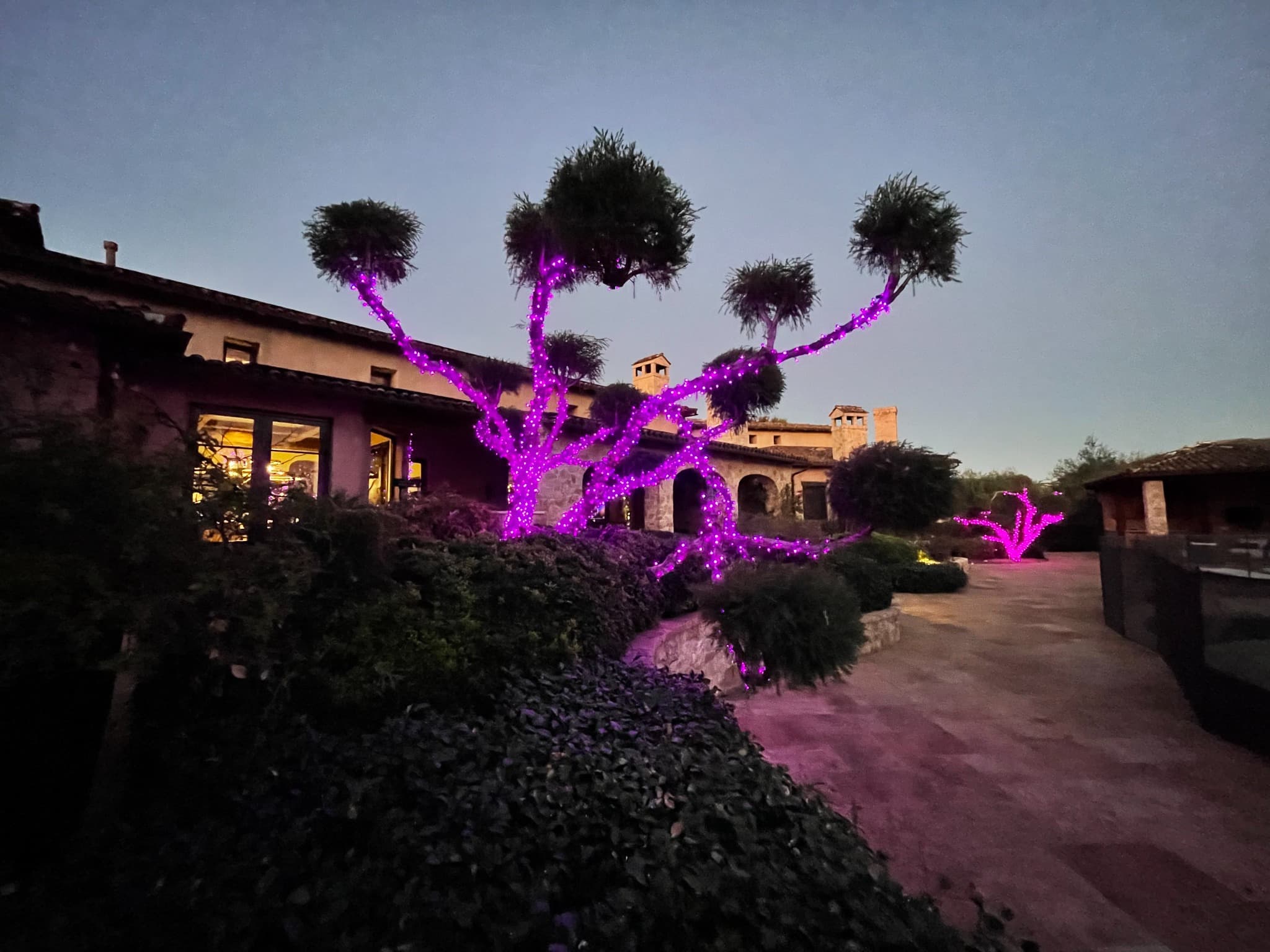 Pink Estate
