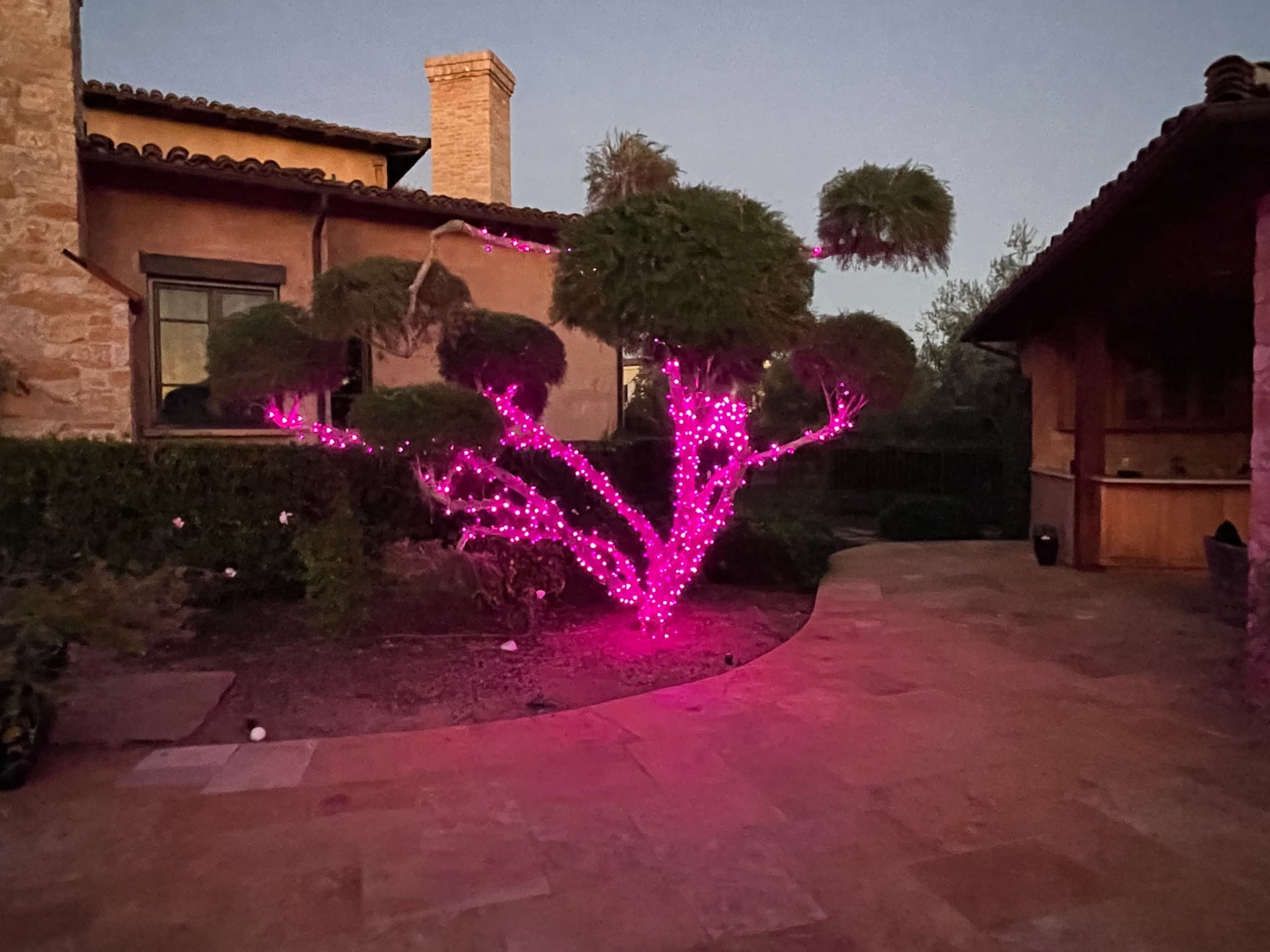 Pink Garden