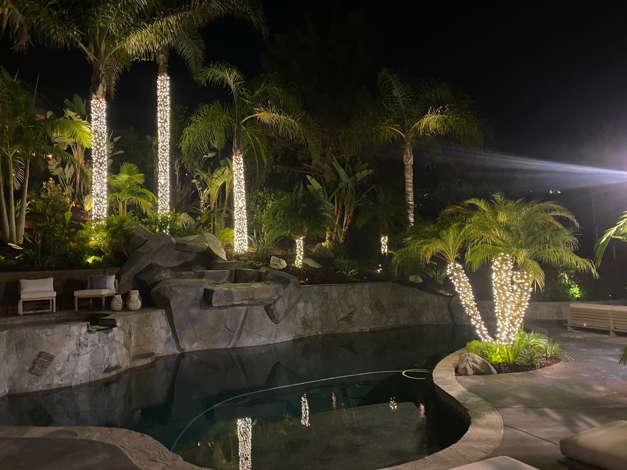 Pool Palms