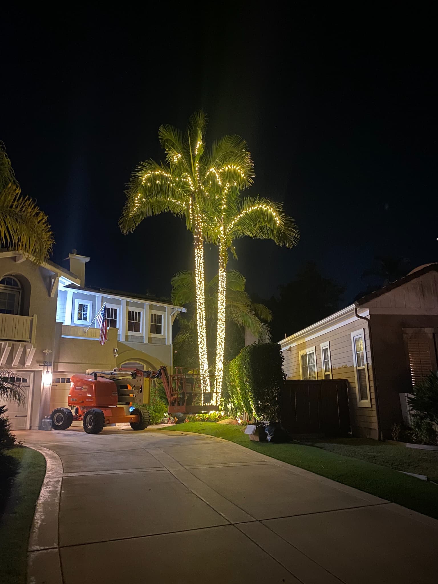 Tall Palms